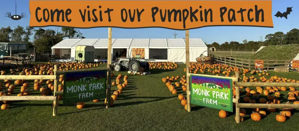 MPF Pumpkin Patch Entrance 2022