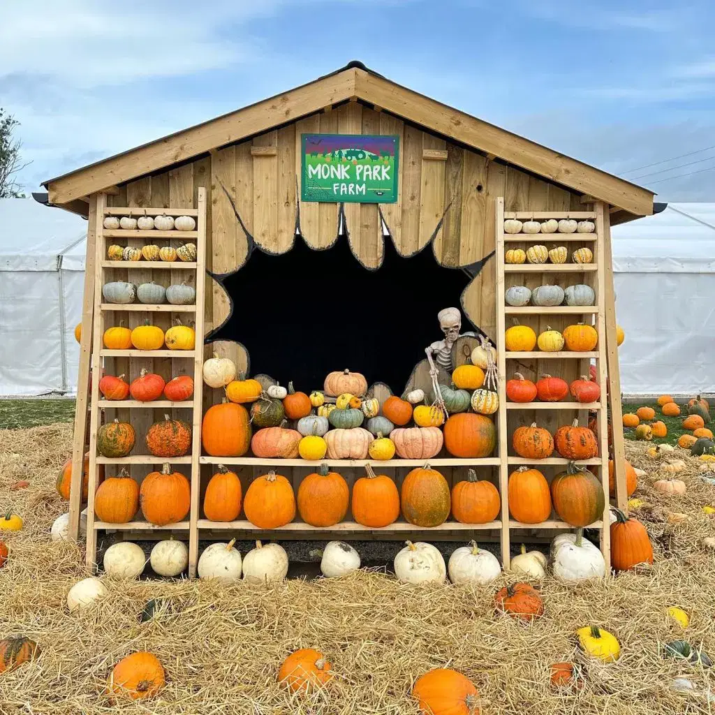 Pumpkin Shed 2023
