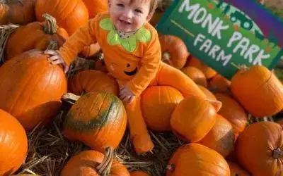 🎃 WE’VE GOT YOU COVERED 🌧️