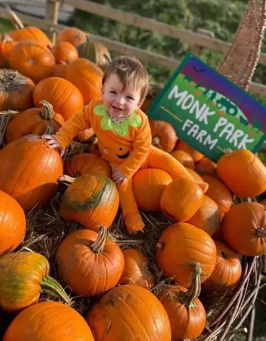 🎃 WE’VE GOT YOU COVERED 🌧️