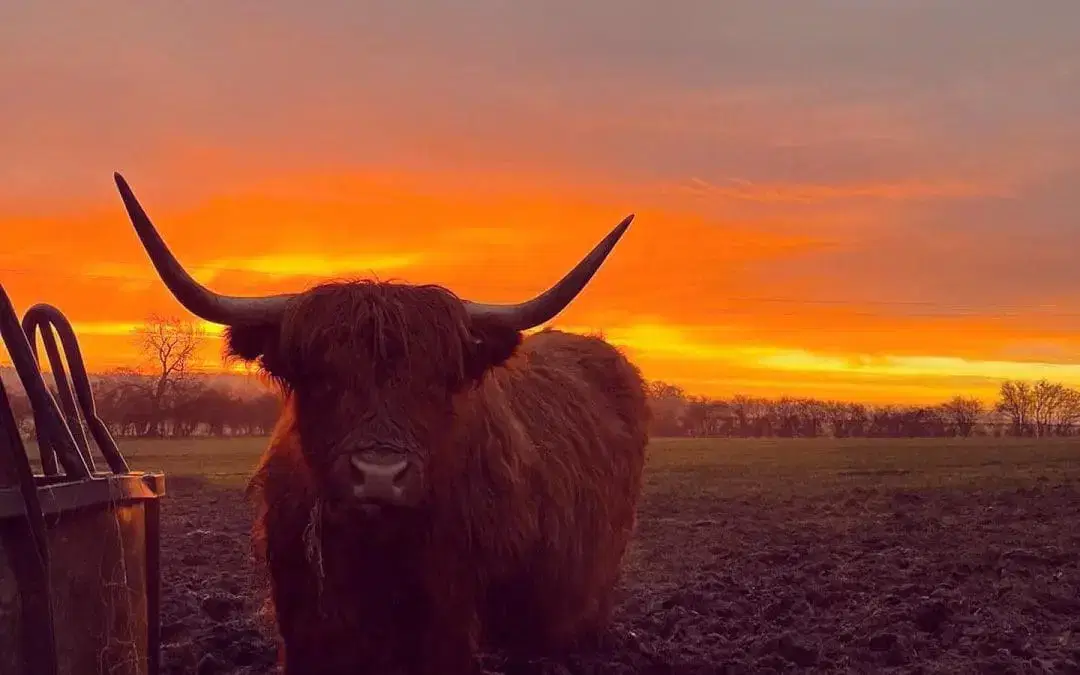 A fantastic year: Review of 2022