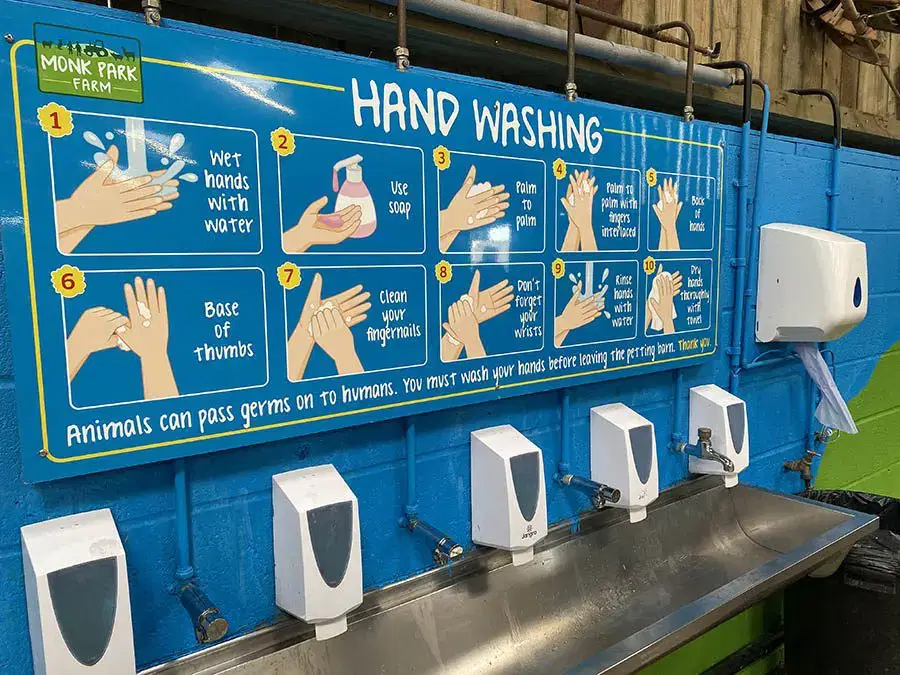 Hand Washing Station Web
