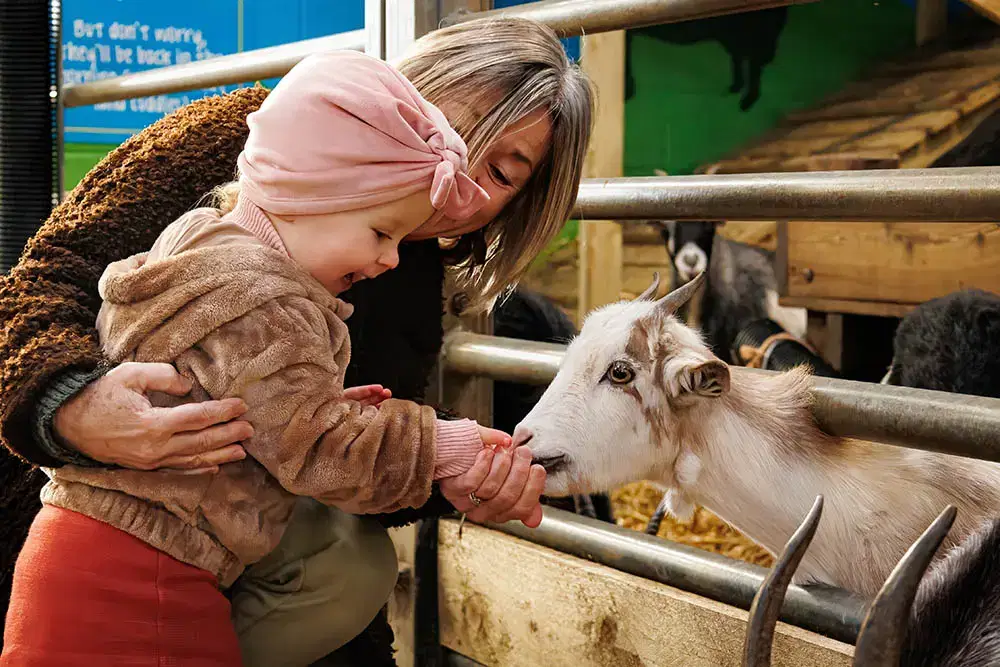 Monk Park Farm Sneak Peek