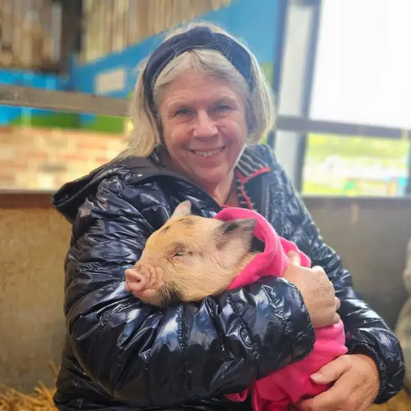 Adult Pig Snuggling