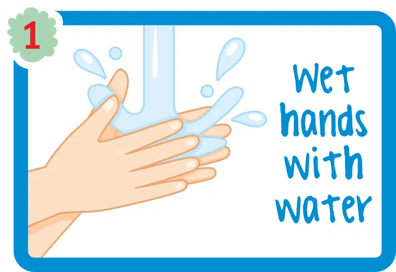 Hand Wash 1