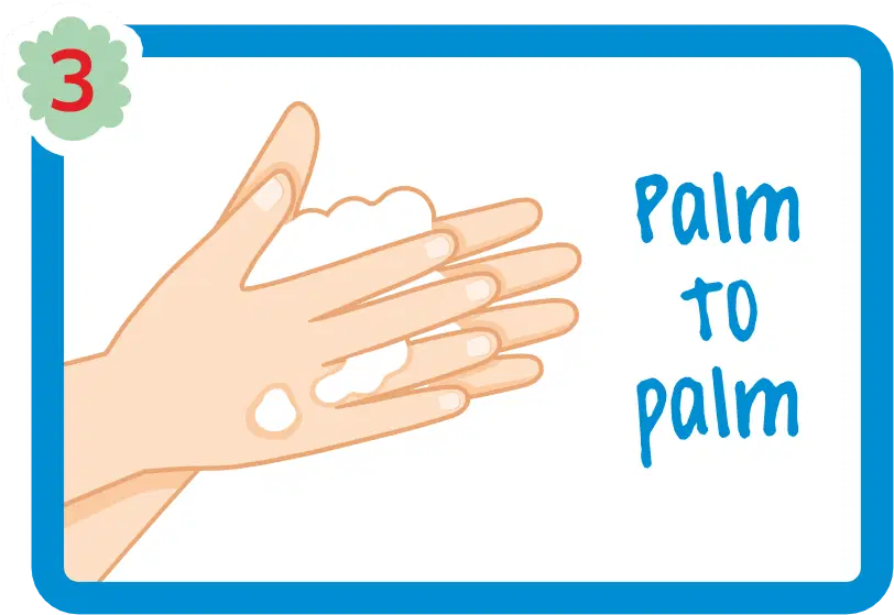 Hand Wash 3