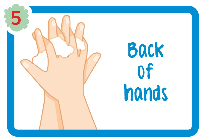 Hand Wash 5