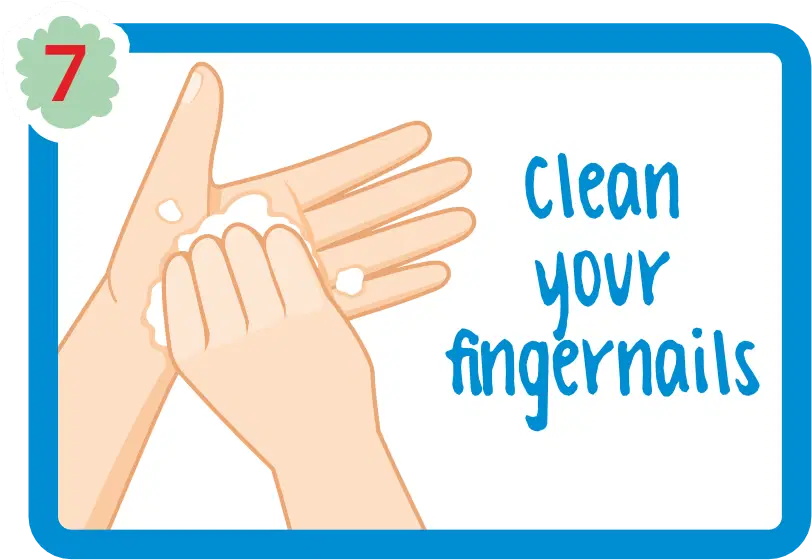 Hand Wash 7