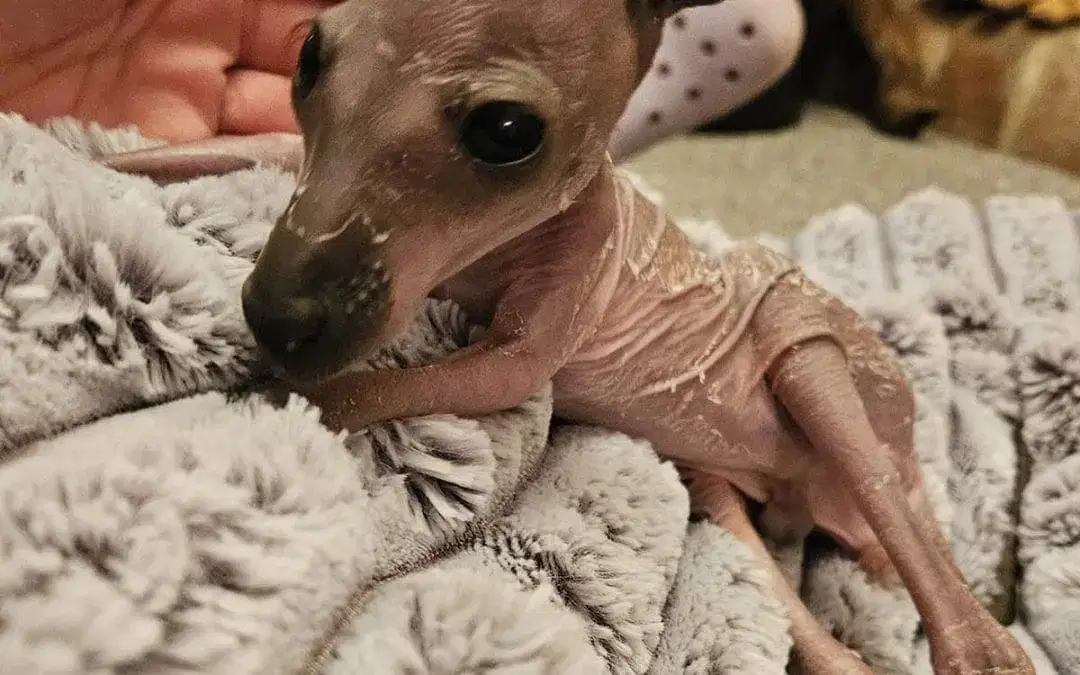 BREAKING NEWS!! He’s on the bottle!!