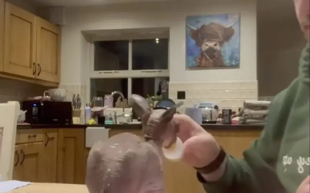 Every day Roo gets more confident