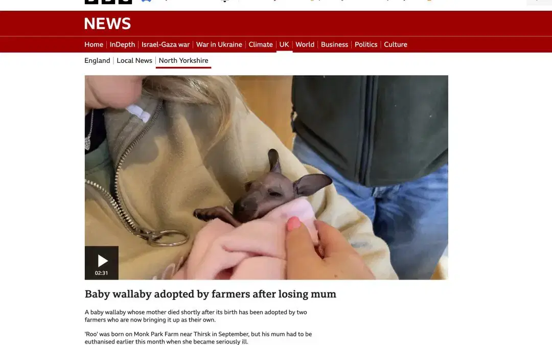 Monk Park Farm and Baby Roo make the BBC News!