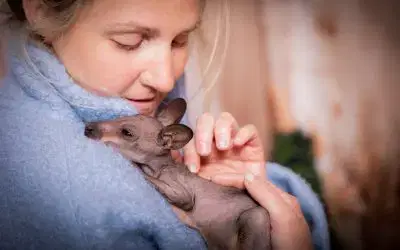 🌺 🌻 ☀️ ❤️ Mums Go FREE!! 29th & 30th March 🌺 🌻 ☀️ ❤️