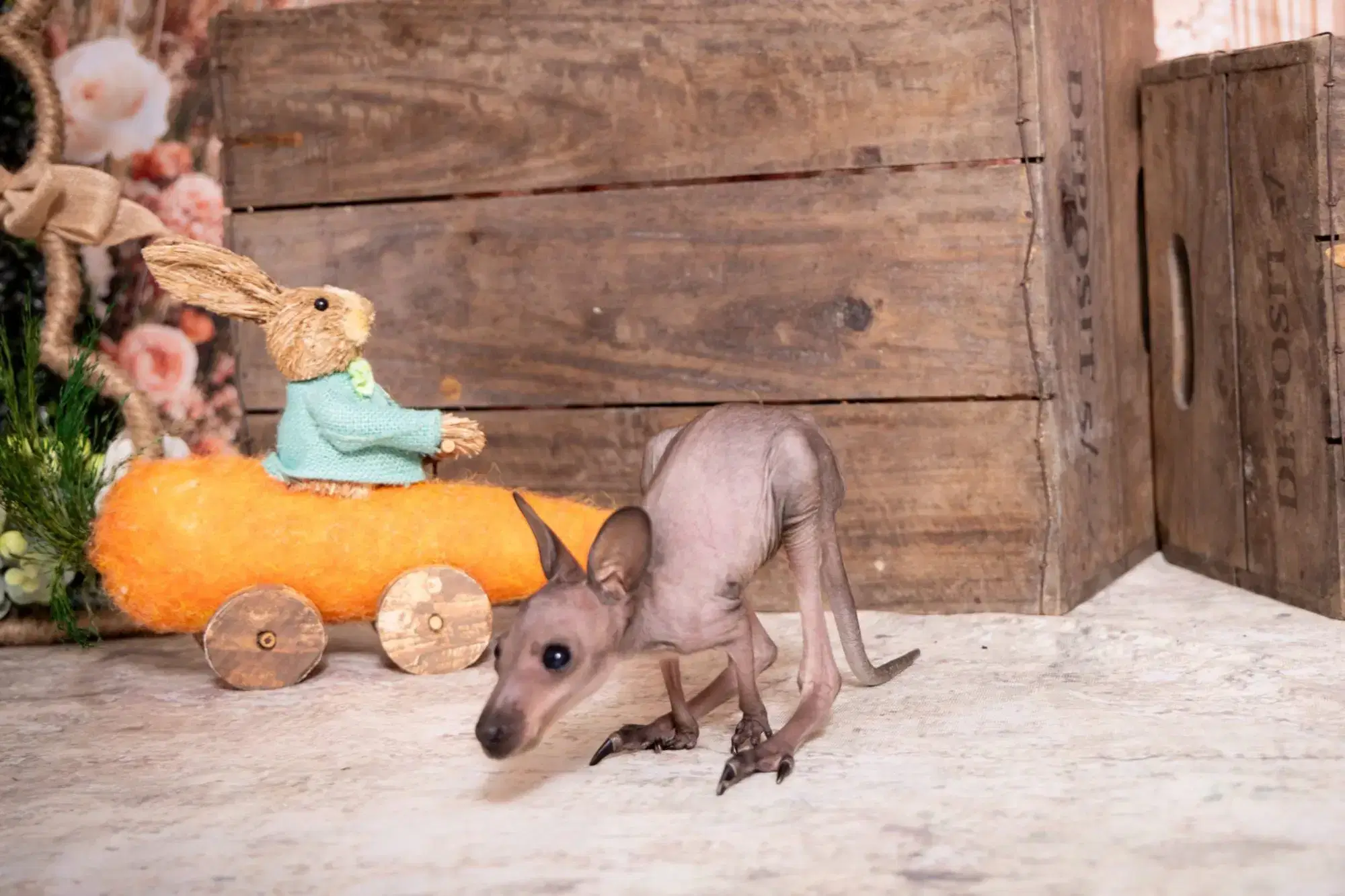 480964300_1051665440336010_4247016149053771210_n