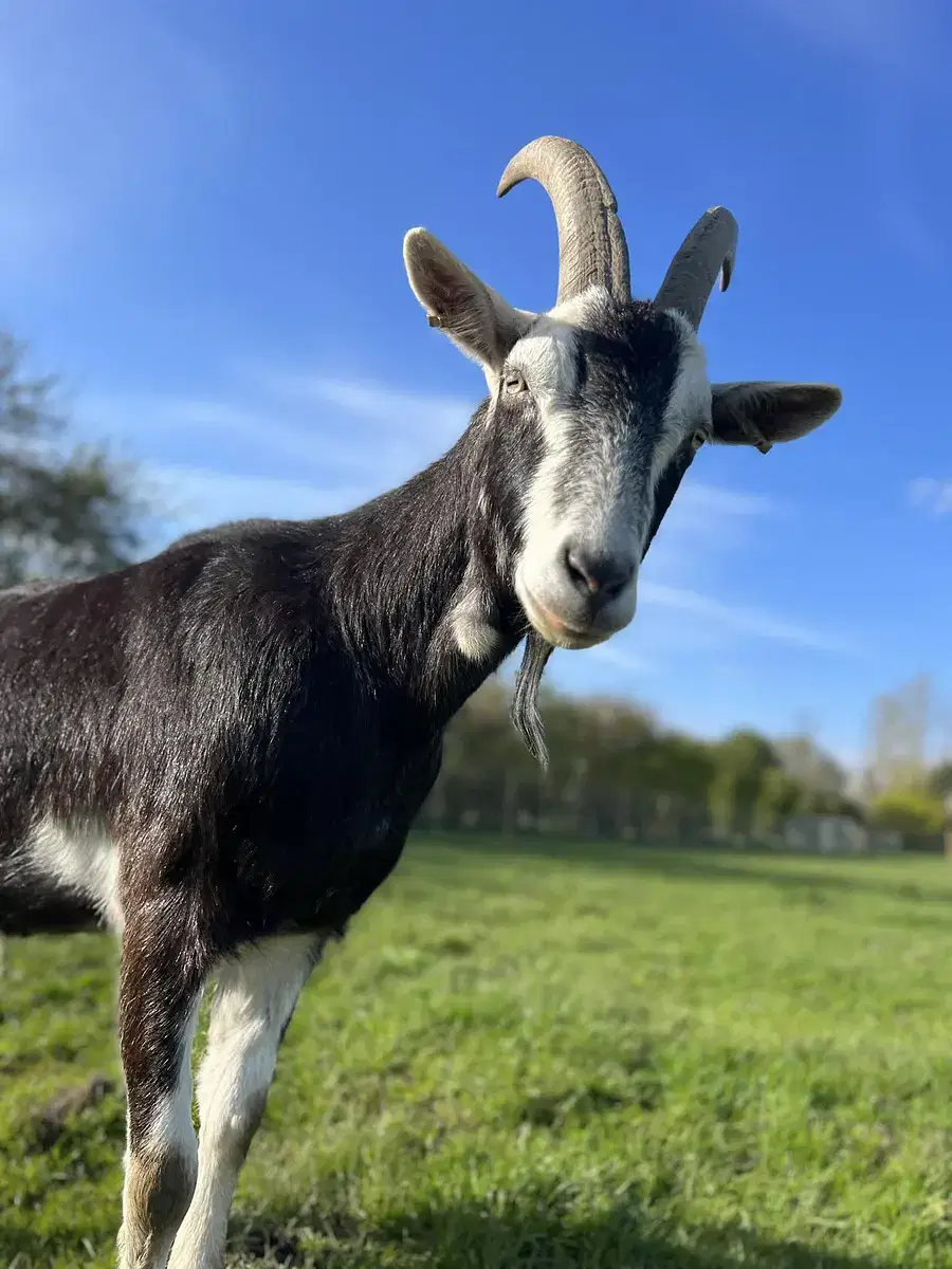 Perfect for Mini Farmers