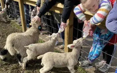 🐑 Bottle Feeding is Back This Mother’s Day Weekend! 🍼