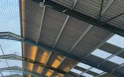 We have half a Roof!!