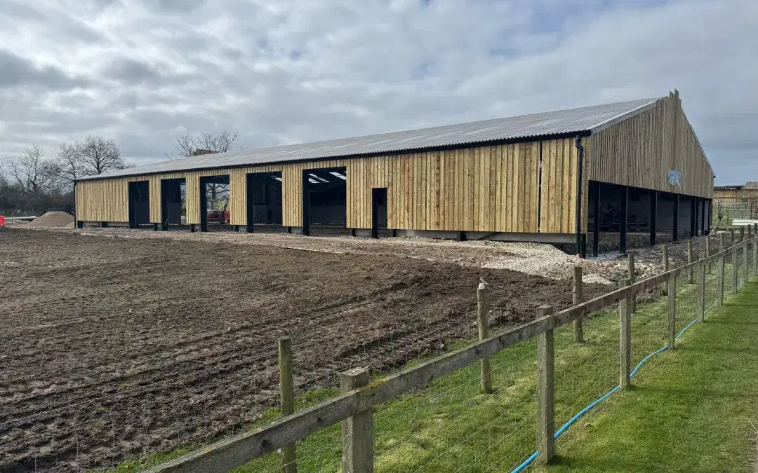 On Track for Summer: The New Barn is Coming Together!