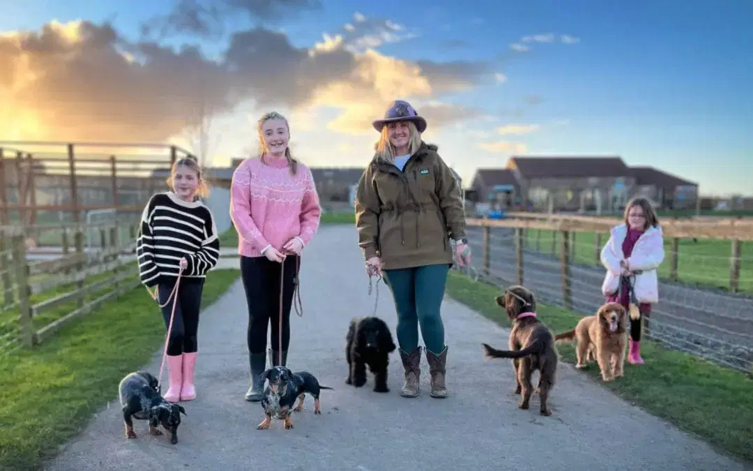 Introducing Monk ‘Bark’ Farm!