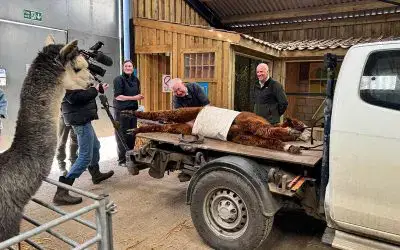 A visit from the Yorkshire Vet