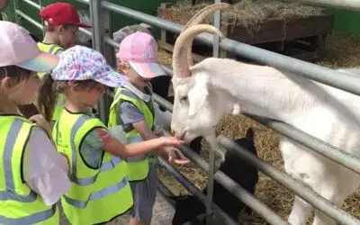 📚 School Trip Slots Filling Fast 🐷