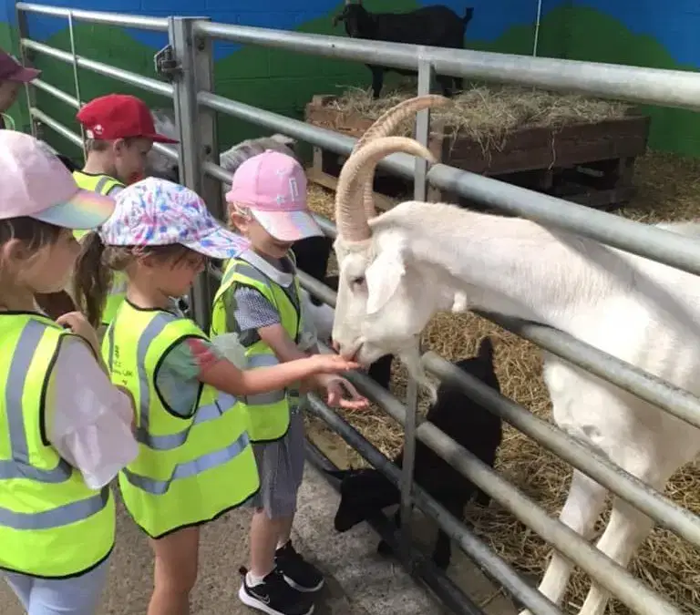 📚 School Trip Slots Filling Fast 🐷