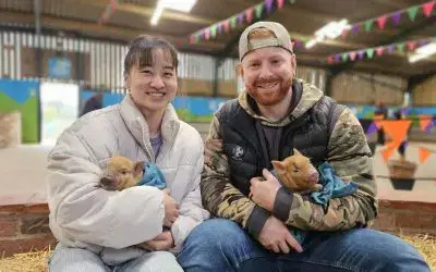 Pigs and Prosecco: An Adults-Only Night at Monk Park Farm Tuesday 6th May (6pm-8pm)