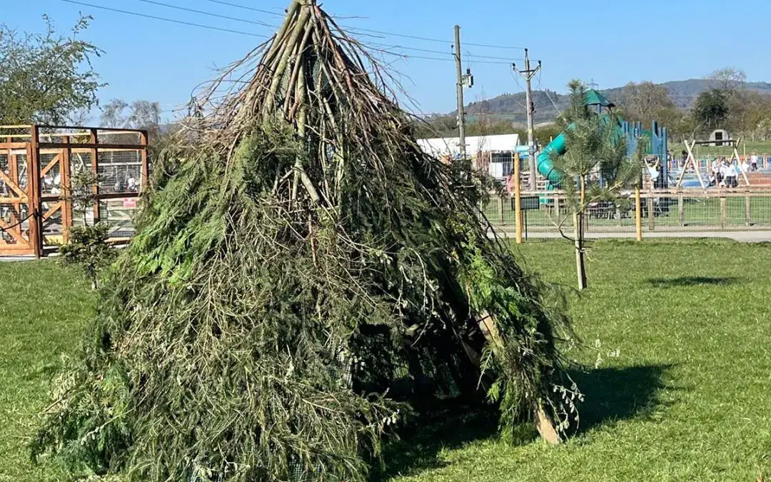 Wallaby Den Building