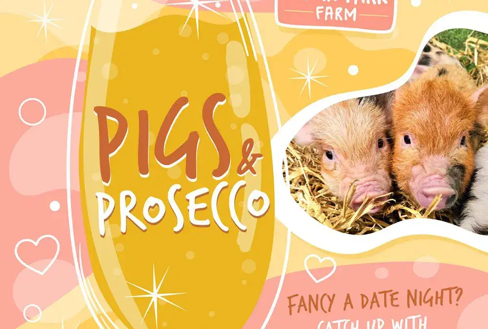 Pigs & Prosecco: A Sparkling Success! 🐷🍕🍾