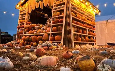 Experience the Magic of Pumpkin Patch Nights This October