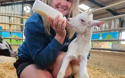 New for MonkFest – Bottle-Feeding Baby Goats! 🍼🐐