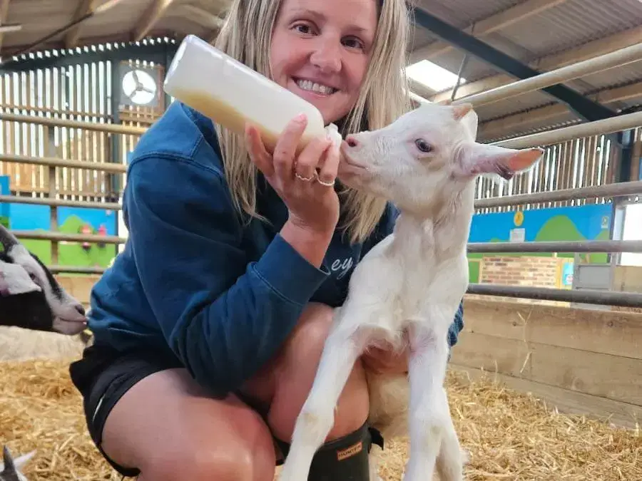 New for MonkFest – Bottle-Feeding Baby Goats! 🍼🐐