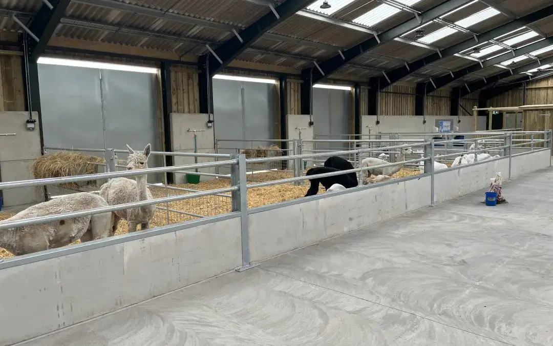 Today’s the Day – Our New Animal Barn is Officially Open! 🐾🎉