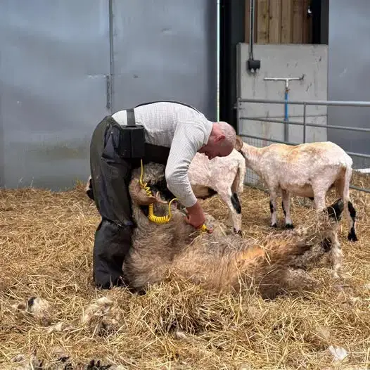 583381991_1246582890844263_7894739362796781437_n