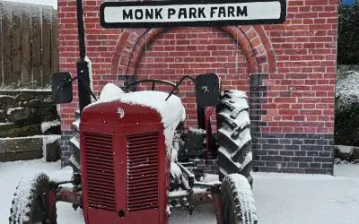 ❄️ The First Snow of the Year Has Fallen! ❄️