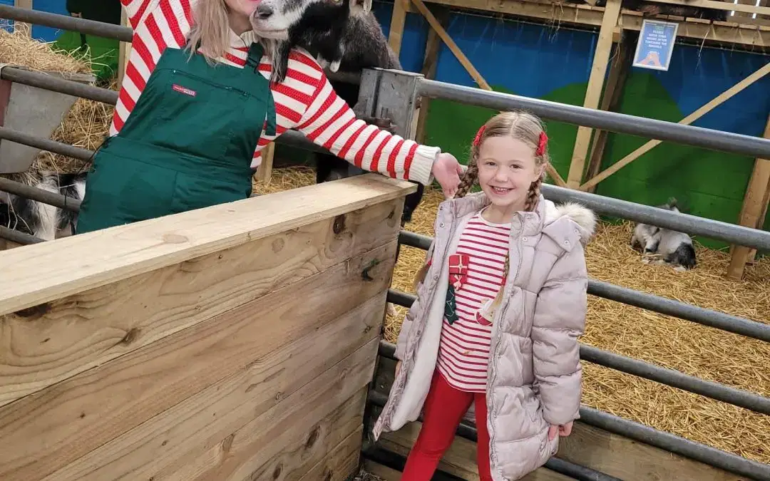 Lots to See Down at Santa’s Stables