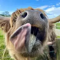 🎉 Farm for a Fiver! 🎉