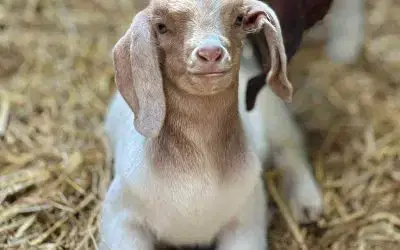 ⏰ Just ONE Weekend Left! ⏰