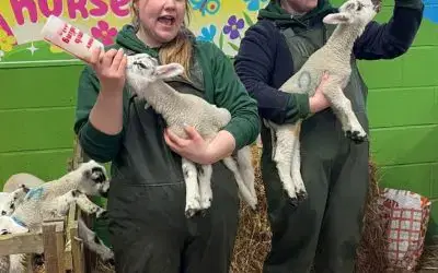 School Trips at Monk Park Farm 🐮🎒