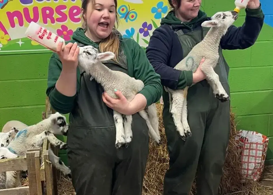 School Trips at Monk Park Farm 🐮🎒