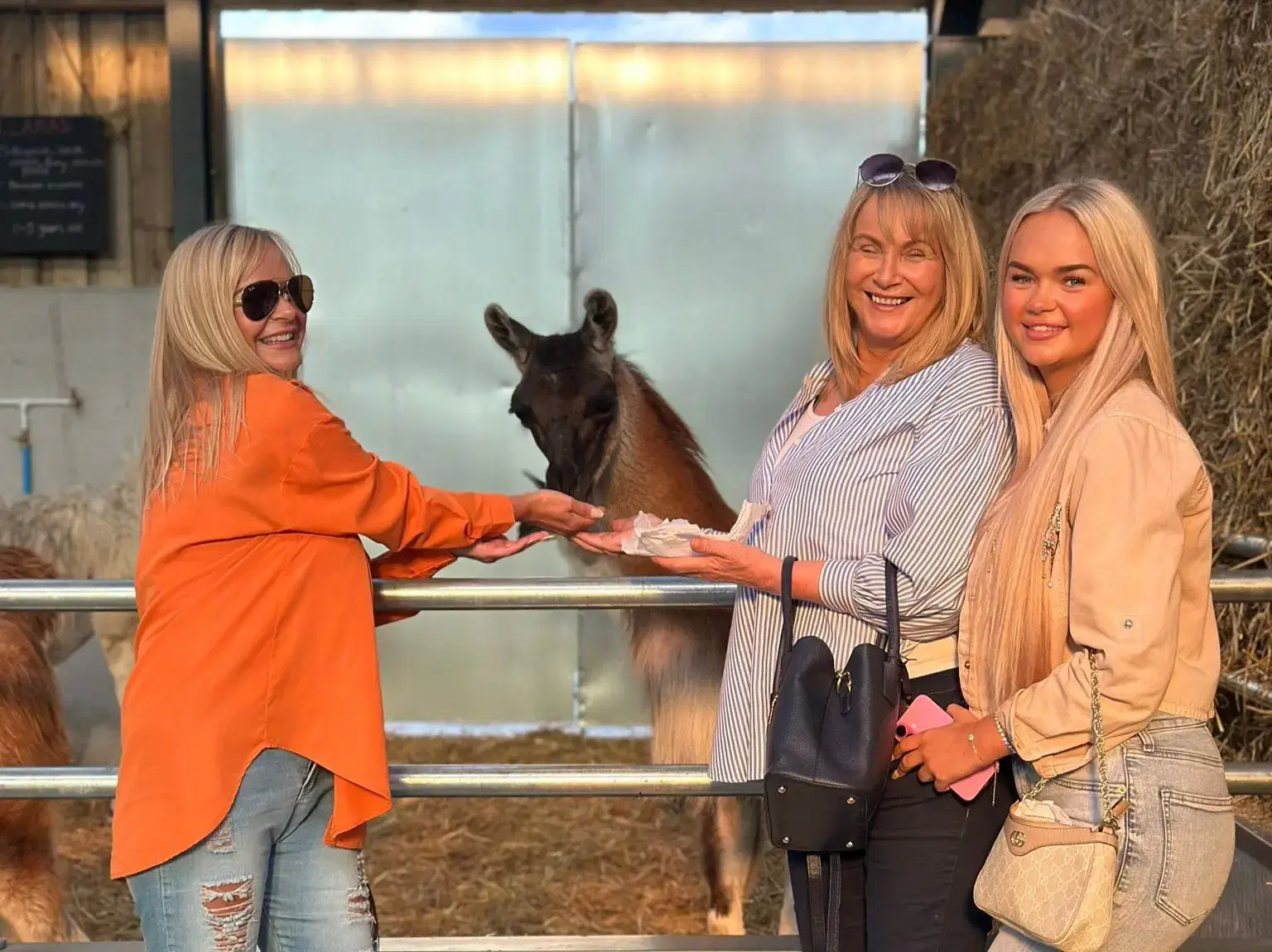 527817184_1161489829353570_5007502190482388346_n