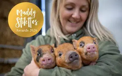 🐑 The flock need your help!