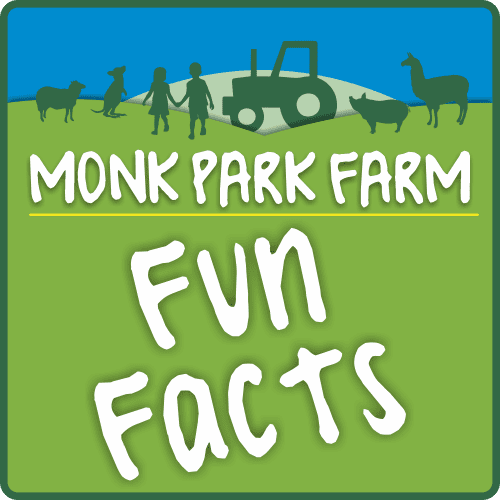 MPF Fun Facts Logo