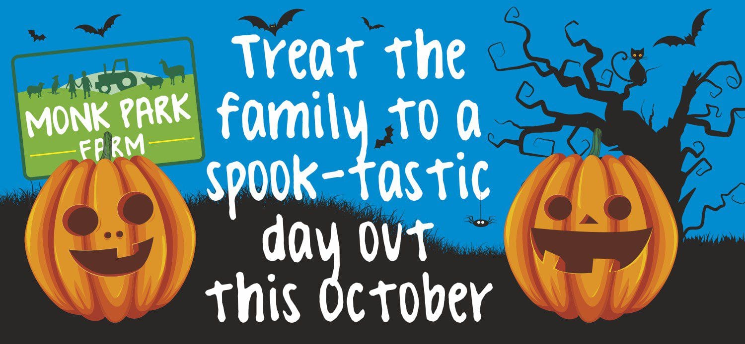 Halloween Web Slide