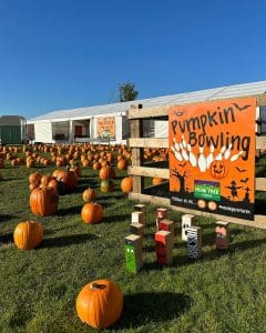 Halloween celebrations during 2022 season at Monk Park Farm