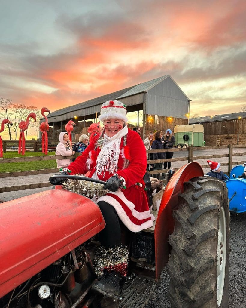 Mrs Claus on a tractor at Monk Park Farm