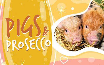 Pigs & Prosecco: A Sparkling Success! 🐷🍕🍾