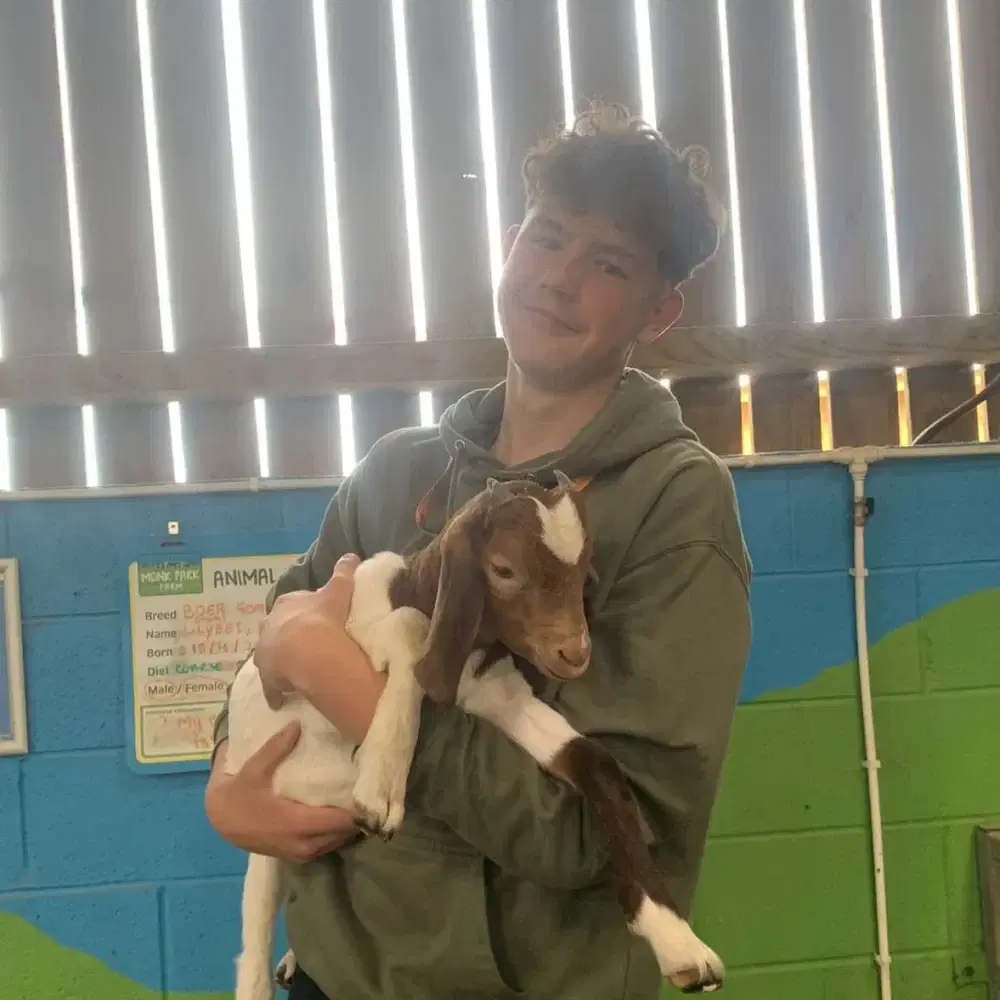 Meet George