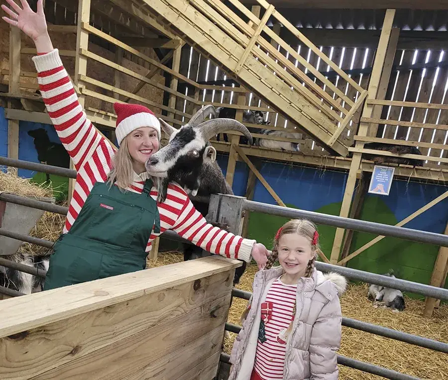 Festive Animal Barn