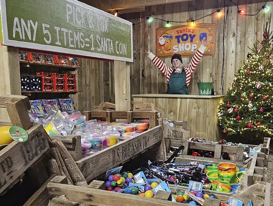 MPF Christmas Toy Emporium