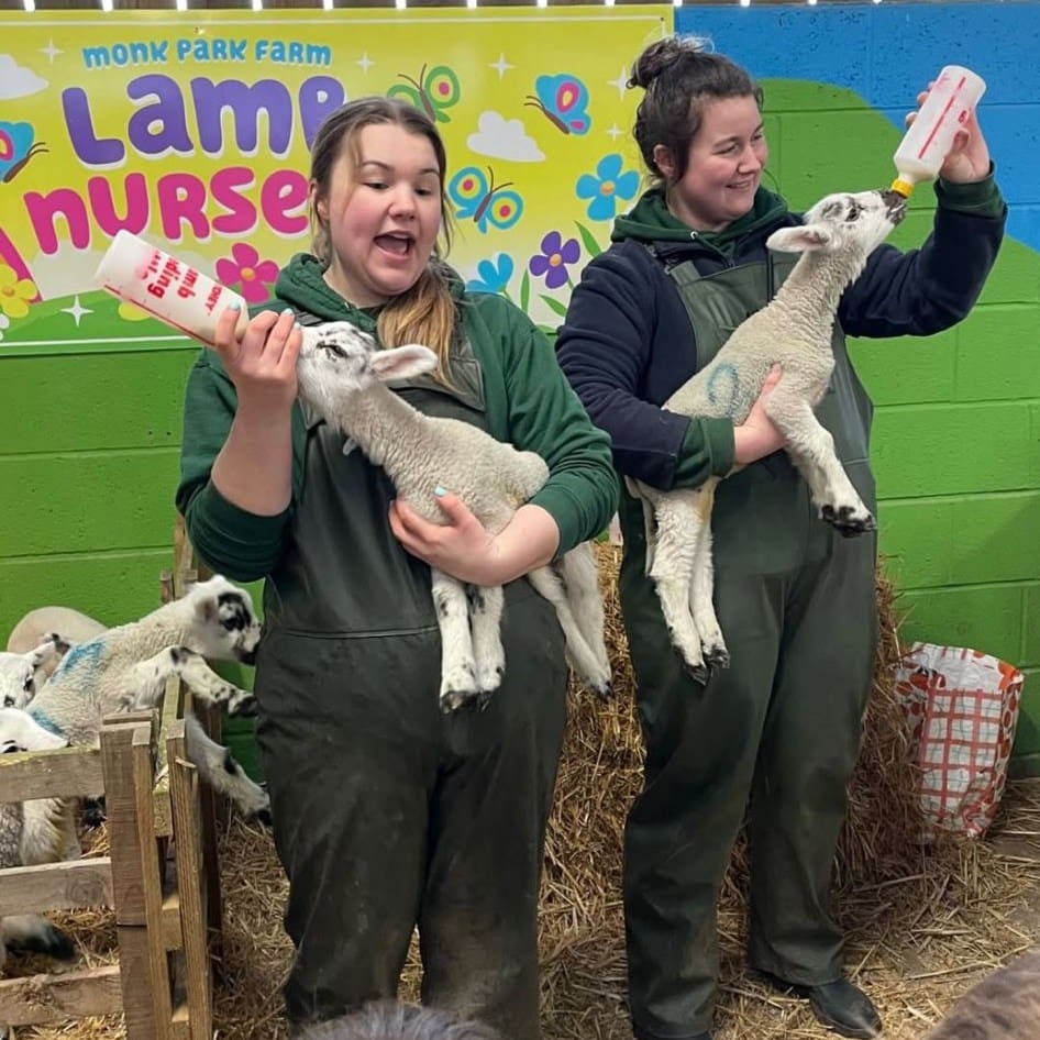 Monk Farm School Trips at Monk Park Farm 🐮🎒 - Monk Park Farm